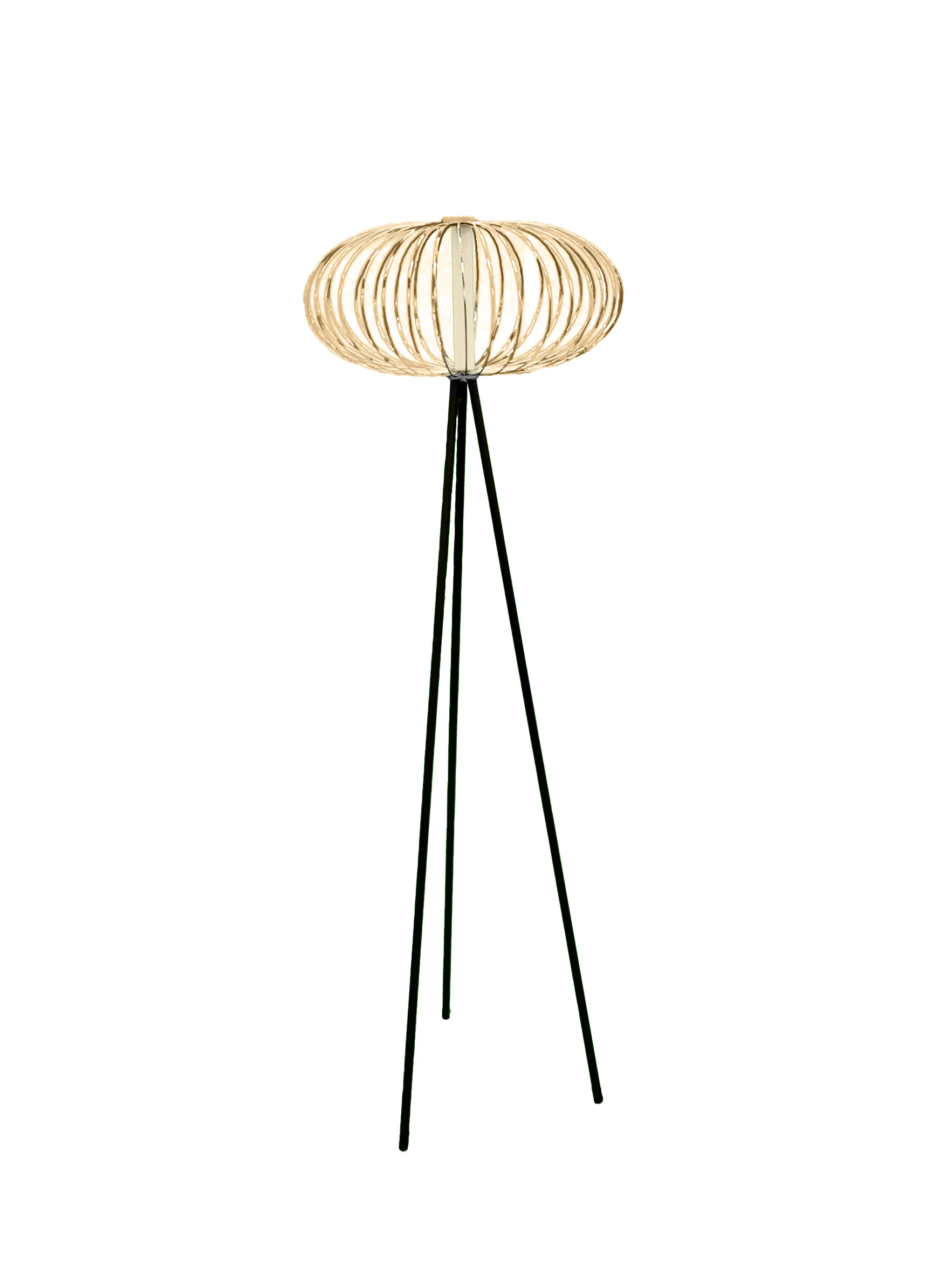 Aether Wire Cage Floor Lamp - Image 14