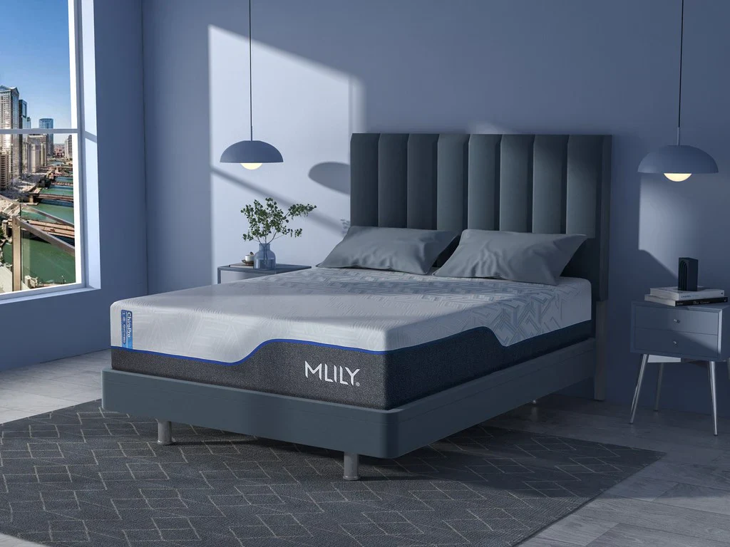 MLILY 13" ChiroPro 3.0 | Plush - Image 3