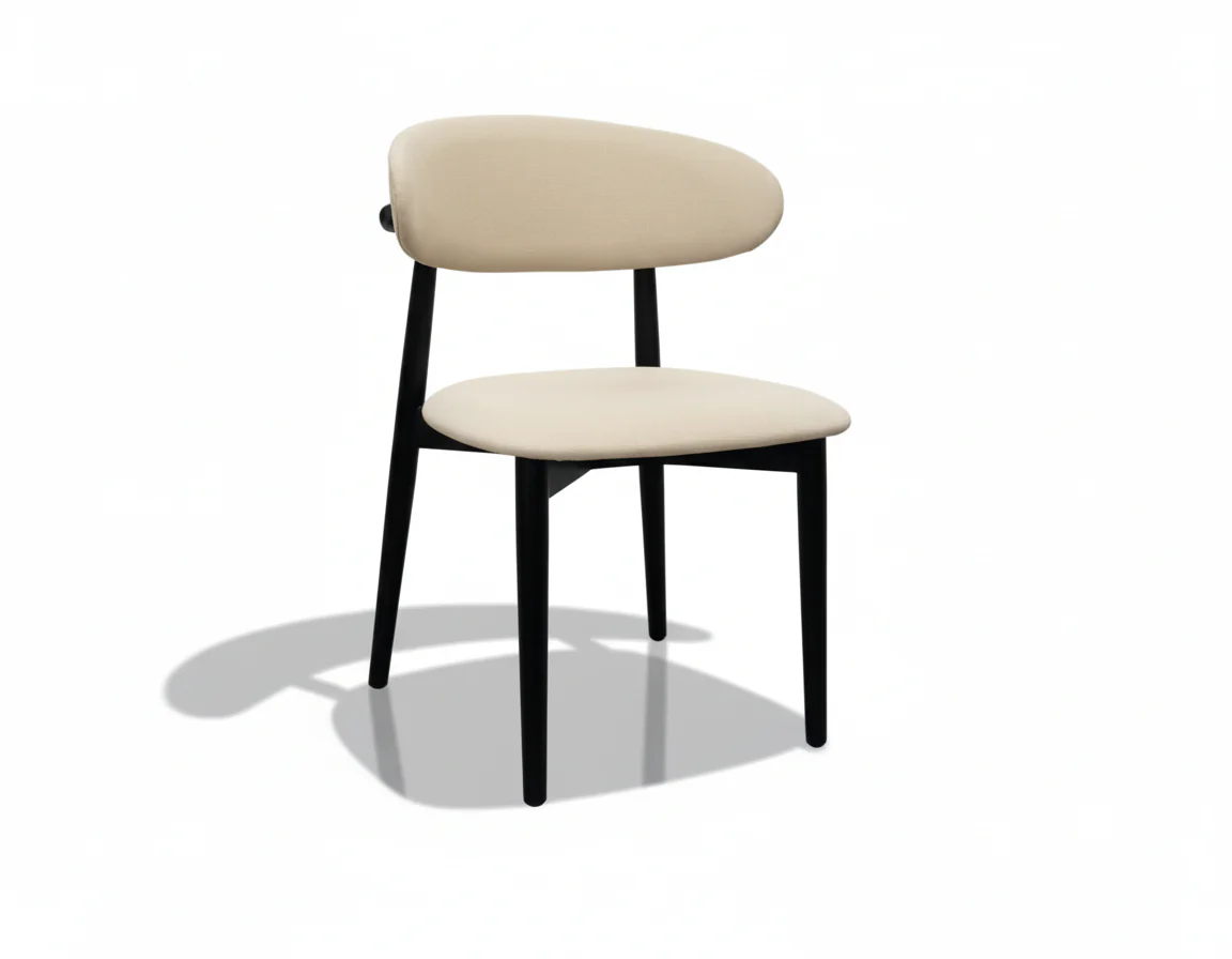 Minimal Curve Dining Chair